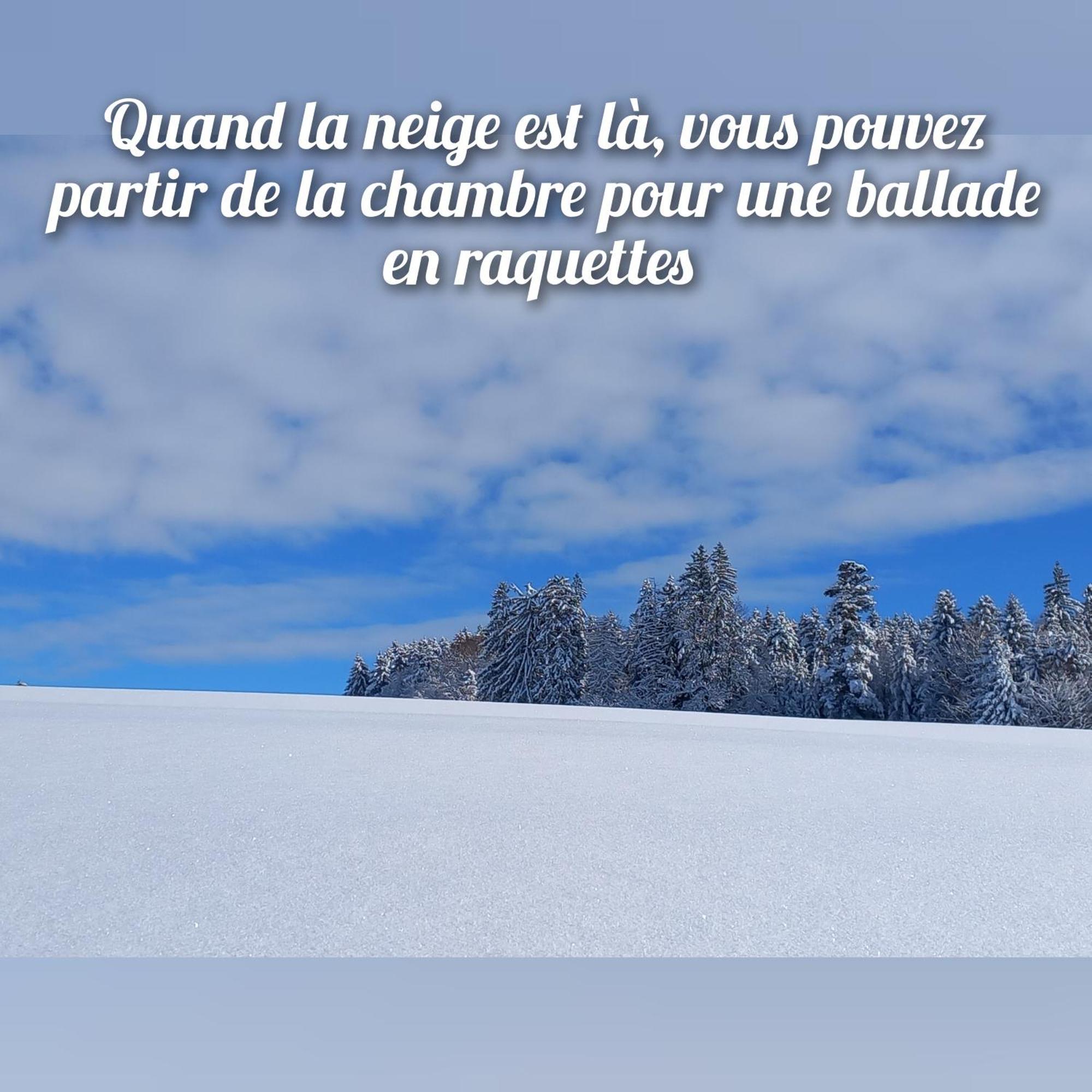 Les Abeilles Bed & Breakfast Romont Bagian luar foto
