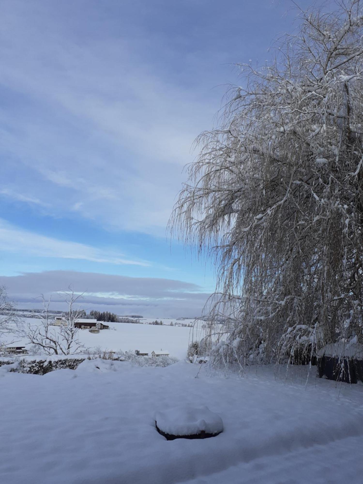 Les Abeilles Bed & Breakfast Romont Bagian luar foto